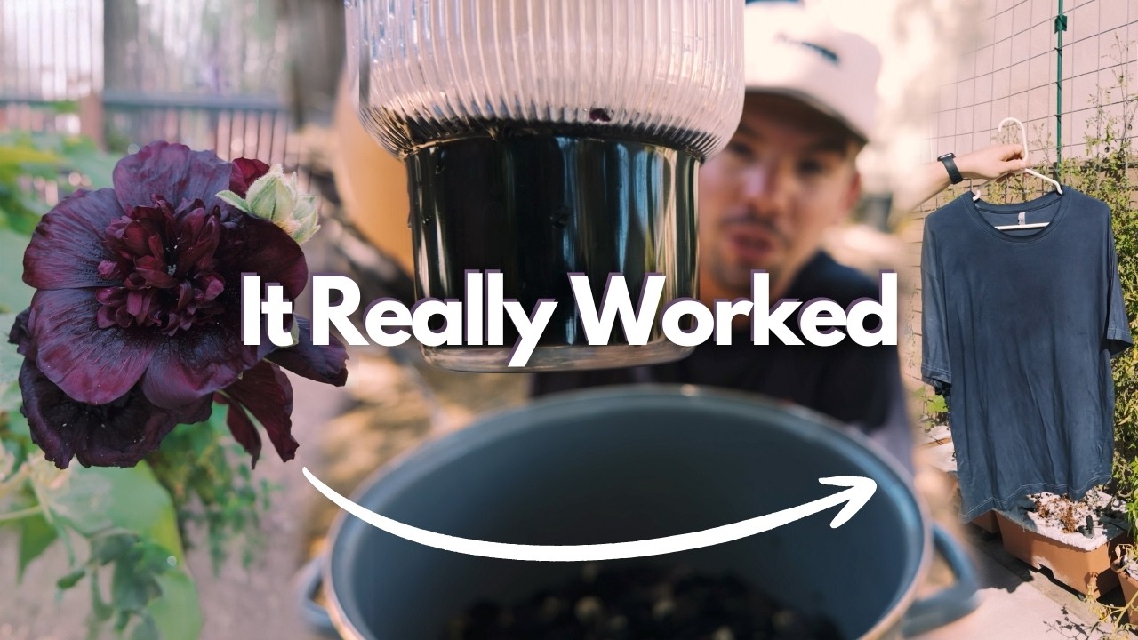 I Turned Black Hollyhocks Into Plant-Based Dye & The Results Were INSANE