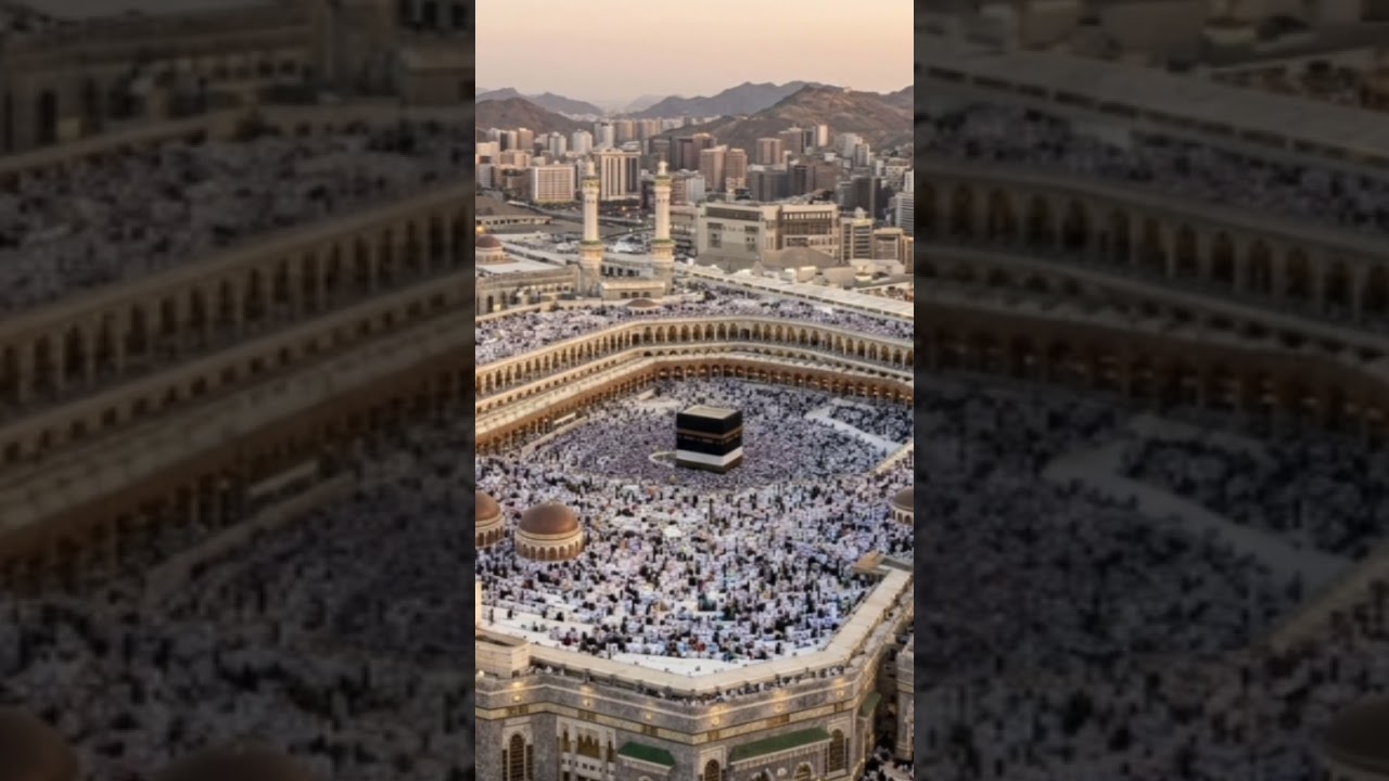 HZ, Mehdi Aleyhisselam hakkında