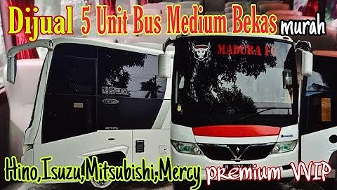 Berapa harga bus chasis dan karoseri premium