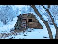 Survive 10 Days ALONE in the Woods: Building a Dugout from Scratch!