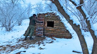 Survive 10 Days ALONE in the Woods: Building a Dugout from Scratch!