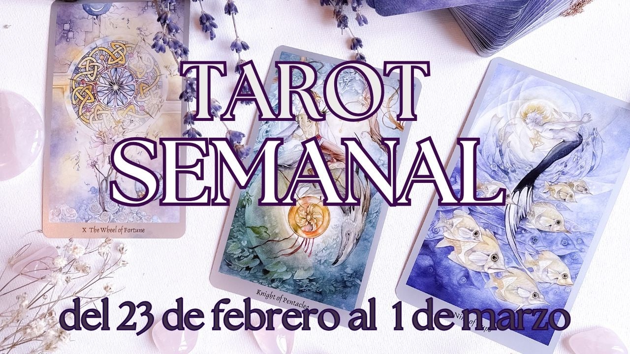 🌟TAROT Semanal - del 23 de febrero al 1 de marzo - Lectura General🌟🐢 ...