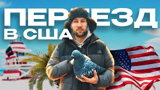 Сколько стоит переезд в США!