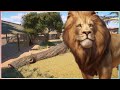 West African Lion Habitat | Planet Zoo Speed Build