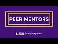 Lsu college of agriculture  peer mentors