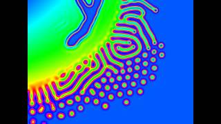 reaction diffusion: Gray-Scott model