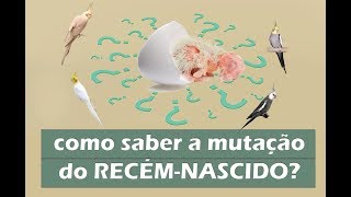 Como identificar a mutação dos recémnascidos?