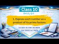 Class 10 Maths Ex 1.1 Q-1 | NCERT Solutions | Prime Factorisation Method 🔥 | Real Numbers 