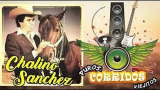 CHALINO SANCHEZ Mix Los Mas Escuchados - Corridos Perrones 2021 -Corridos Famosos de Chalino Sanchez