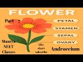 Androecium part 7 morphology #botany #neet #11th #mauryasir #morphology #medical #mbbs #biology
