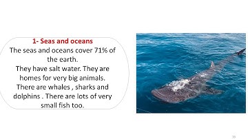 Primary 2 - English - Connect plus - Unit 5