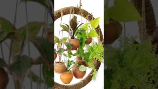 #organicgarden #hangingwatergarden #watergarden #gardenideas #hangingplants #indoorplanting #diy