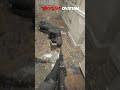 New bodycam footage  bodycam on steam bodycam realistic tactical game nextgen