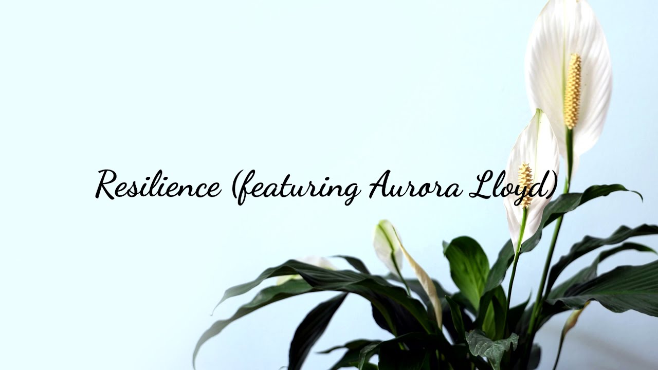Rie Daisies - Resilience (feat. Aurora Lloyd)