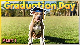 The Dog Star Program: Beginner Obedience Graduation Day | Part 1