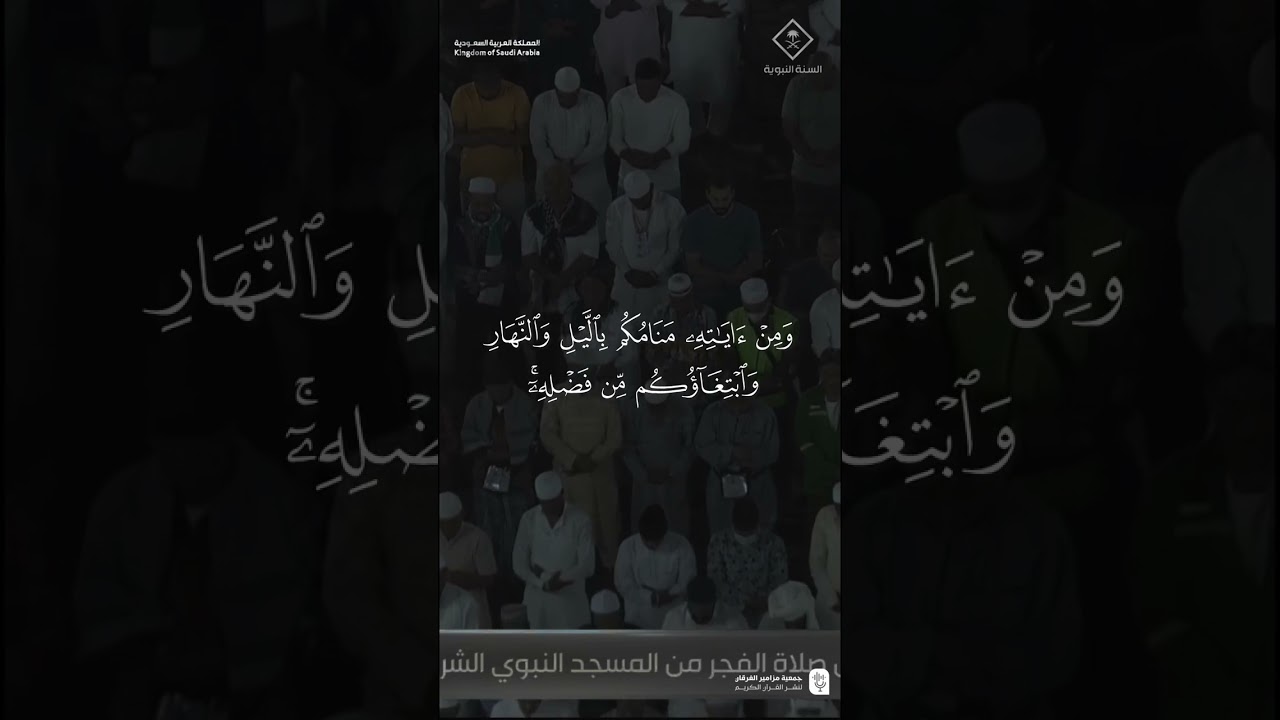 تصاميم قصيرة من الحرم النبوي | شهر محرم 1447هـ الحلقة الثامنة