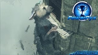 The Last Guardian Trophy Guide (PS4) 