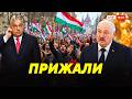 Лукашенко напуган! Власти готовят армию и собирают союзников. Что будет дальше? // Итоги недели