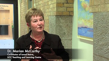 Visual Thinking Strategies Public Seminar, UCC