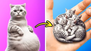 I Saved Stray Pregnant Cat  Useful Hacks for Pet Owners