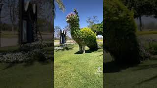 Jardines de México 📍 Km 129 de la Autopista México Tehuixtla, Mor.