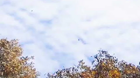 天才バカボンエンディング主題歌 Mp3 天才バカボンエンディング主題歌 Mp3