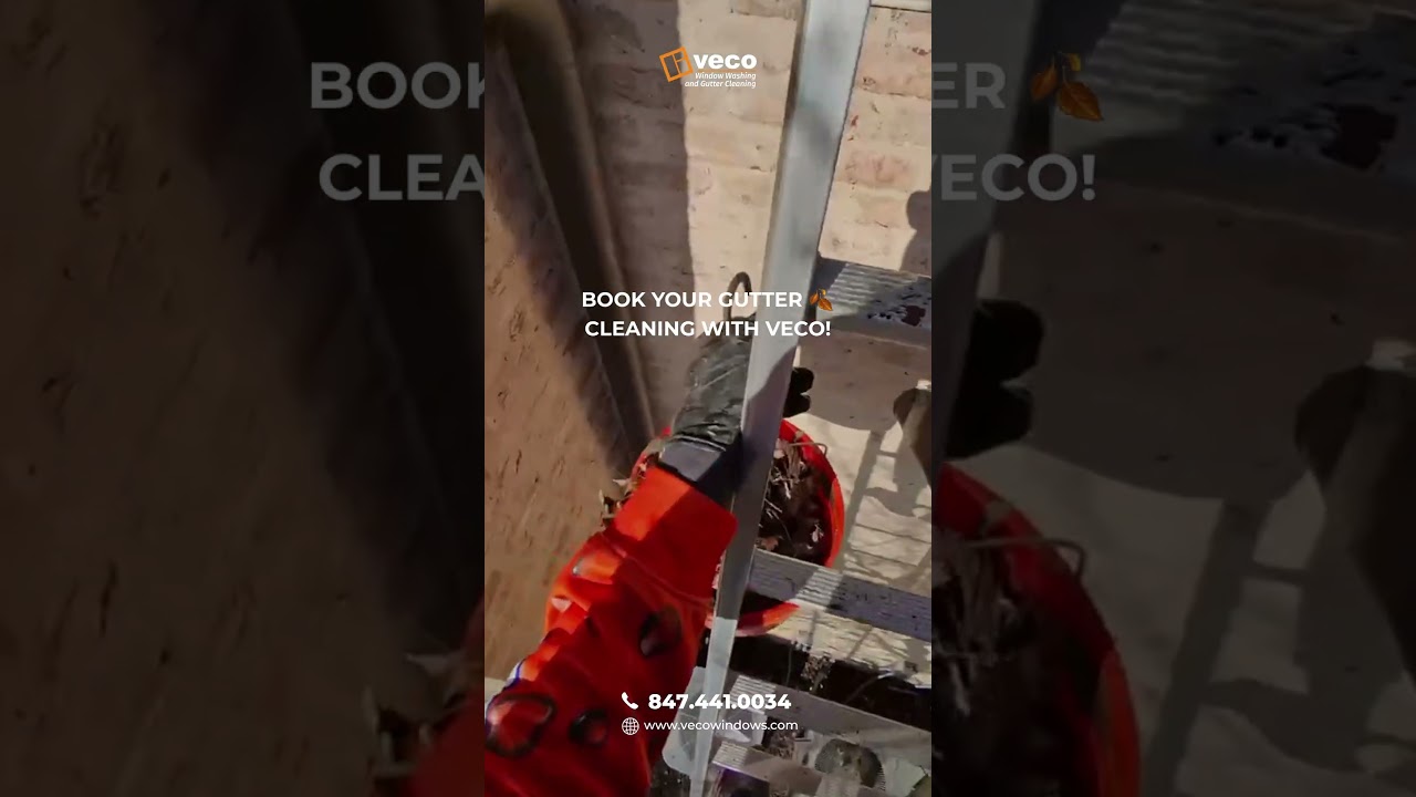 🧹 Gutter Cleaning in Skokie, IL | VECO Windows & Gutter Cleaning