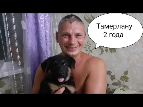 Деревенский гламур мур