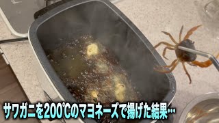 サワガニを200℃のマヨネーズで揚げた結果。。。#shorts