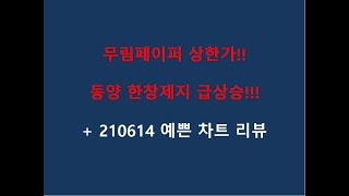 무림페이퍼 상한가!! 동양 한창제지 급상승! 체리부로 남해화학 바이오리더스 디알텍 푸른기술 도이치모터스 용평리조트 대명소노시즌 유니켐 한국전력 이지홀딩스 케어랩스