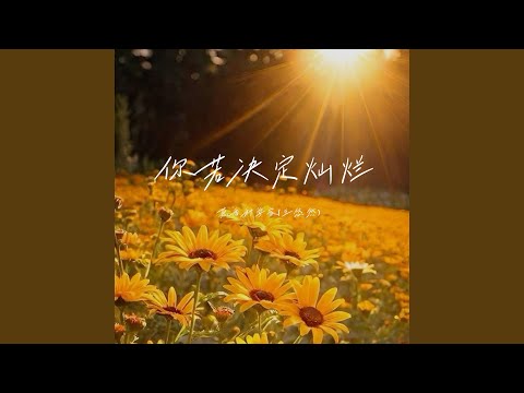 你若决定灿烂