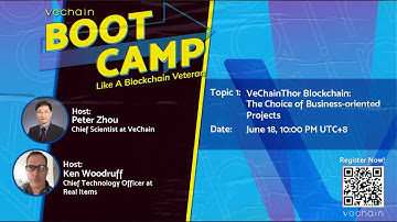 VeChainThor Blockchain: The Choice of Business-oriented Projects