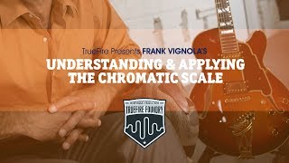 Understanding & Applying the Chromatic Scale (Foundry) - Intro - Frank Vignola