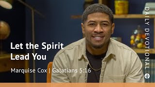 Let the Spirit Lead You | Galatians 5:16 | Our Daily Bread Video Devotional