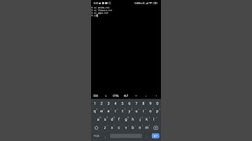 Termux - Pre-finals Activity 2 part 3/3 - apps.txt + cat commands