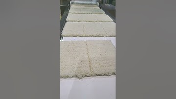 Máy cán và cắt cơm Tech Garden. Lh 0935911775 Trần Trinh.