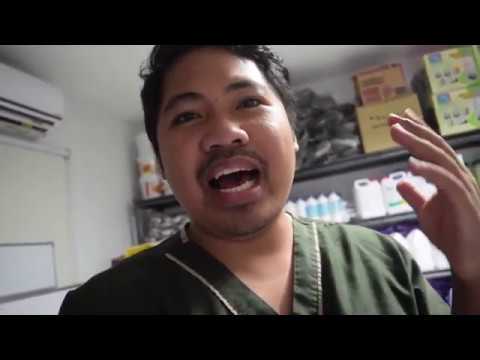 Video: Paano Gamutin Ang Gastritis Sa Isang Aso