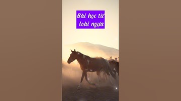 Bài học: Ngựa chỉ phi nước đại khi phải có ro.i  #baihoccuocsong #conngua #giátrịcuộcsống