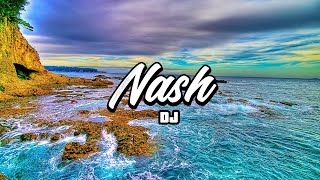 DARINA x DJ NASH - LAISSE MOI T'AIMER (ZOUK REMIX 2k20)[4NICO_PMBT]