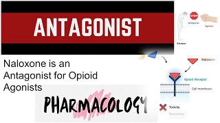 Antagonist | Basic Pharmacology | Junaid Asghar PhD Affinity Ligand Receptor Interactions Junaid Asghar Phd
