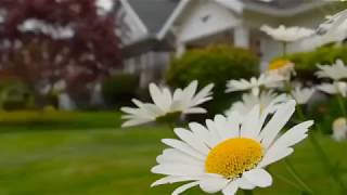 Summer Home Maintenance Checklist
