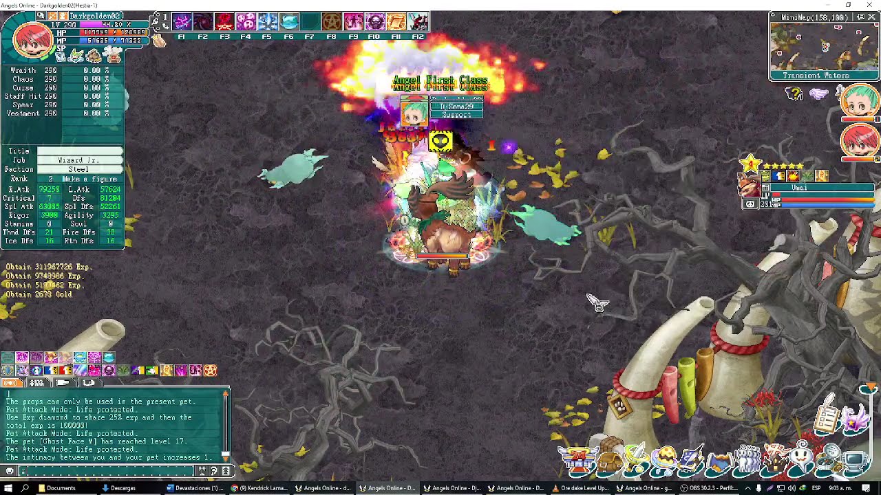 AO Leveling lv 290 Angels Online