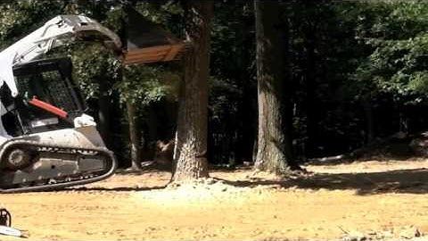 Bobcat T190 takes down tree