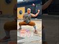 Shaolin Kung Fu ☯️ Strength Begins Within (少林功夫)
