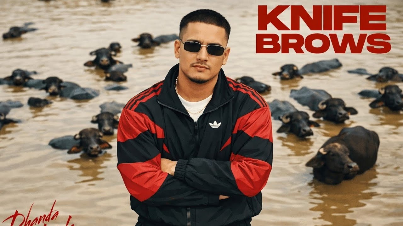 Dhanda Nyoliwala Knife Brows Rap 0.2 | Male Female version | (Official Music Video)