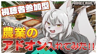【#マイクラ参加型 】🎀✨面白いアドオン入れてみた✨🎀 第56回 《納品場所を作る!!》 #Vtuber