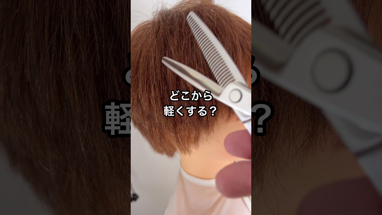DIY Haircut] How to Use Thinning Shears Without Messing Up