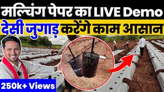 सही तरह से मल्चिंग और ड्रिप बिछाकर उसपर होल कैसे ले????Mulching Paper-Drip Irrigation & Plantation