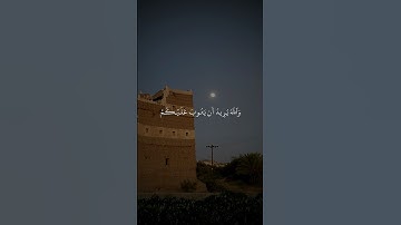 تلاوة من القرآن الكريم بصوت الشيخ علي جابر - رحمه الله | سورة النساء من آية ٢٧ إلى آية ٢٨ |