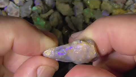 Opalised fossils from Lightning Ridge Australia - Ro944